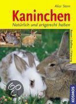 Stern, A: Kaninchen
