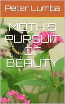 Moth's Pursuit of Beauty
