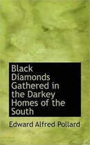 Black Diamonds Gathered in the Darkey Homes of the South