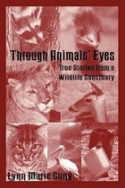 Through Animal's Eyes