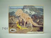 Bouwpakket Tyrannosaurus