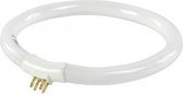 HQ MAG-LAMP3BULB fluorescente lamp