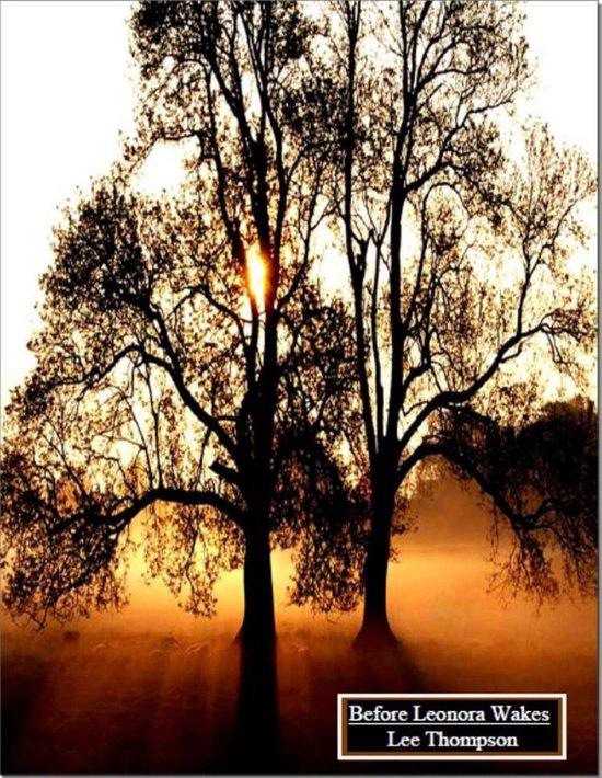 Before Leonora Wakes - cover