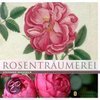 Rosenträumerei