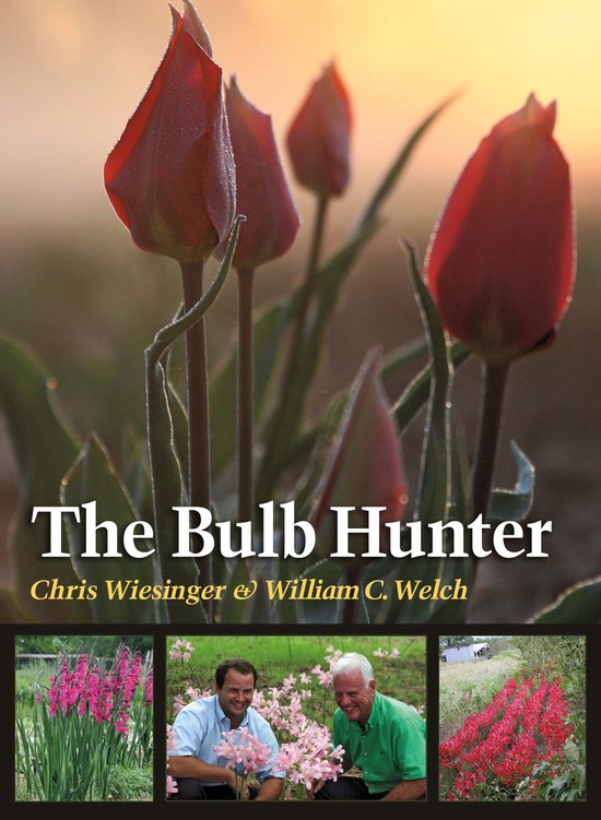 The Bulb Hunter - cover