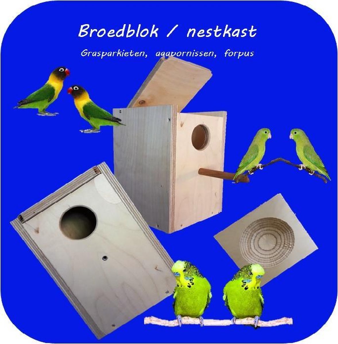 Esschert Design beschermingskorfje nestkast tegen eekhoorn en marter - Esschert Design beschermingskorfje nestkast tegen eekhoorn en marter- Nederland