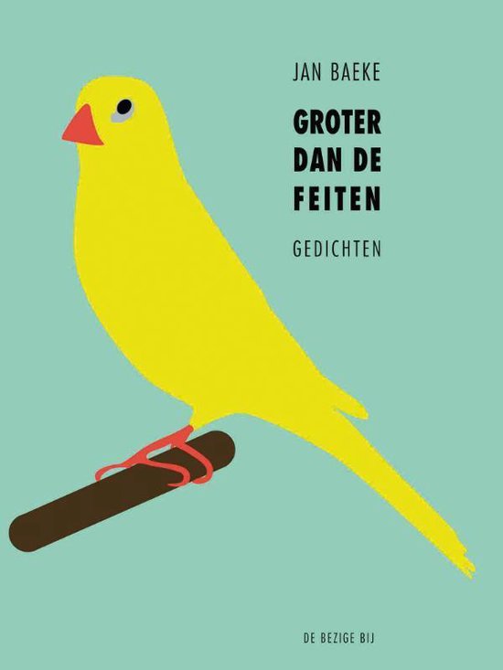 Cover van het boek 'Groter dan de feiten' van Jan Baeke