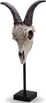 Dieren schedel beeld (hoogte 45 cm)