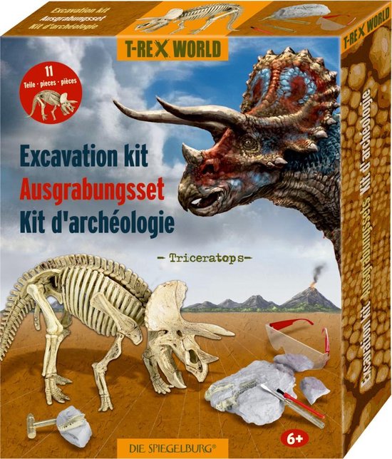 Dinosaurus Skelet. Triceratops Fossiele Schedel Over Witte Geïsoleerde Achtergrond Royalty-Vrije Foto, Plaatjes, Beelden en Stock Fotografie. Image 31181415