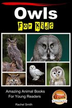 Amazing Animal Books for Young Readers - Owls For Kids: Amazing Animal Books For Young Readers