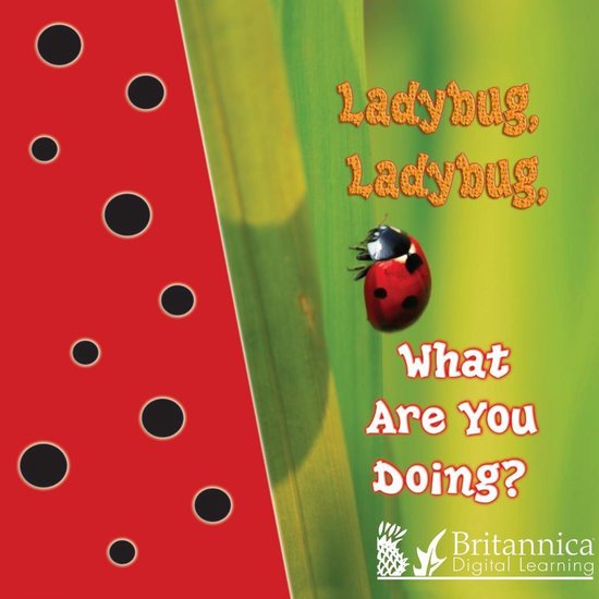 My First Science Library - Ladybug, Ladybug, What Are You Do ... - cover