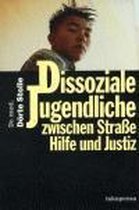 Dissoziale Jugendliche zwischen Straße, Hilfe und Justiz