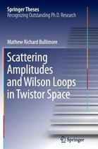 Scattering Amplitudes and Wilson Loops in Twistor Space