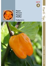 Hortitops - Peper Habanero oranje 10 zaden - 300000 Scoville