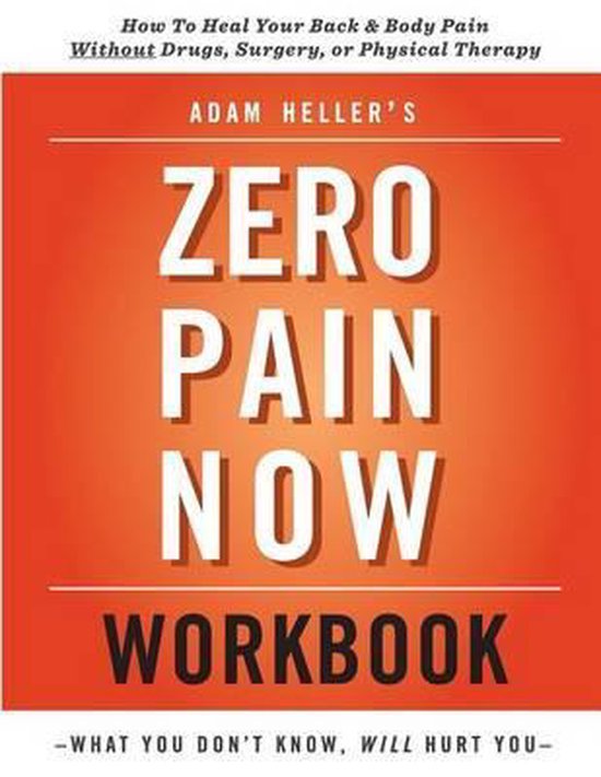 Adam Heller's Zero Pain Now Workbook - cover