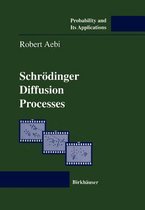 Schroedinger Diffusion Processes