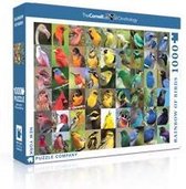 New York Puzzle Company - Cornell Lab Rainbow of Birds - 1000 stukjes puzzel
