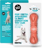 TastyBone - Dental Bone - Cinnamon & Mint - Hond - Kauwspeelgoed - Vegan - Kluif - Nylabone