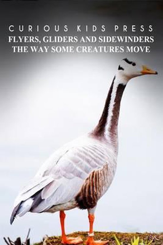 Flyers, Gliders and Sidewinders The Way Some Creatures Move  ... - cover