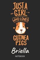 Just A Girl Who Loves Guinea Pigs - Briella - Notebook