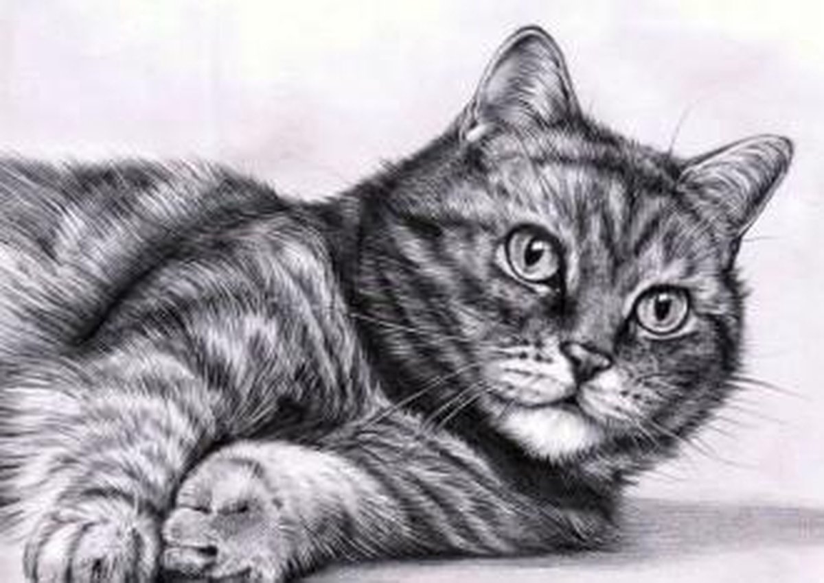 Diamond painting kit Curiosity
