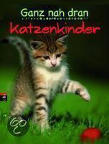 Ganz nah dran - Katzenkinder