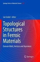 Springer Series in Materials Science- Topological Structures in Ferroic Materials