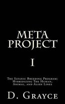 Meta Project