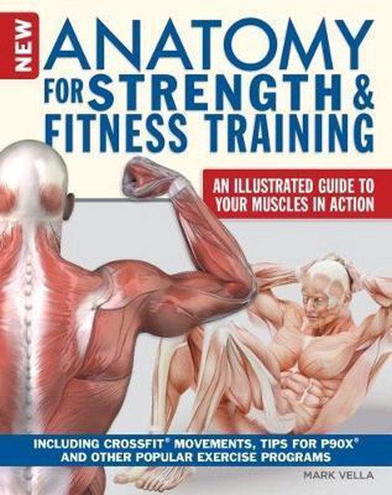 The New Anatomy for Strength & Fitness Training - cover