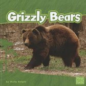 Grizzly Bears