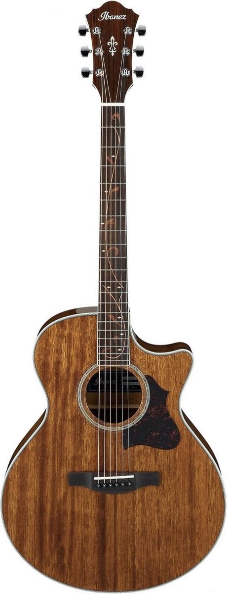 Thespian enz ophouden Ibanez AE245 Natural akoestisch-elektrische cutaway orchestra gitaar |  bol.com