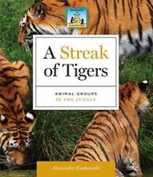 Streak of Tigers