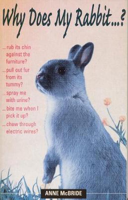 Why Does My Rabbit...?, Anne Mcbride Dr 9780285635500 Boeken bol