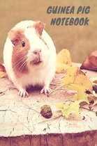 Guinea Pig Notebook
