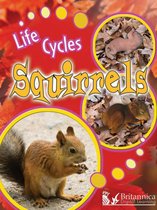Life Cycles - Squirrels