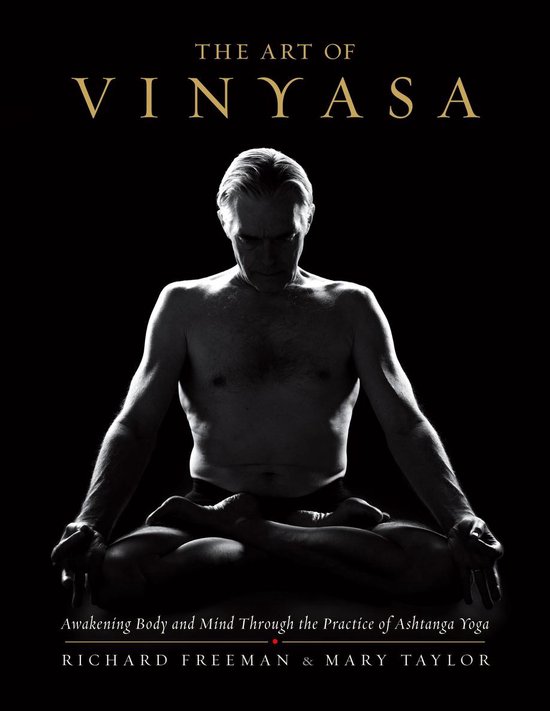 The Art of Vinyasa - cover