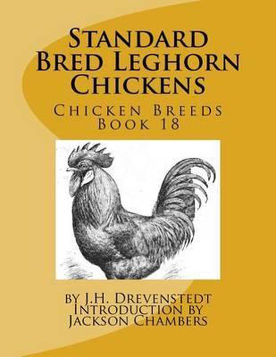 Standard Bred Leghorn Chickens - cover