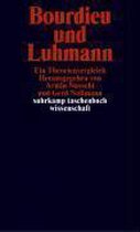 Bourdieu und Luhmann