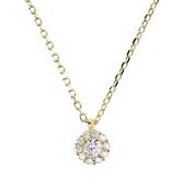 Altissima necklace WSBZ01044YY