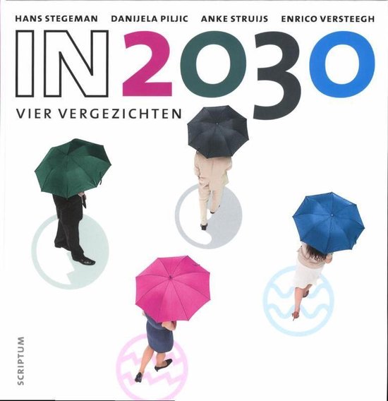 Cover van het boek 'In 2030'