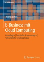 IT-Professional - E-Business mit Cloud Computing