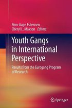 Youth Gangs in International Perspective