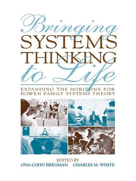 Bringing Systems Thinking to Life - cover