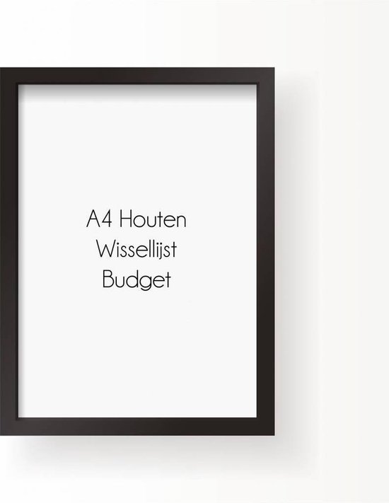 DesignClaud A4 Frame Budget - Wissellijst Zwart A4 Frame Zwart | bol.com