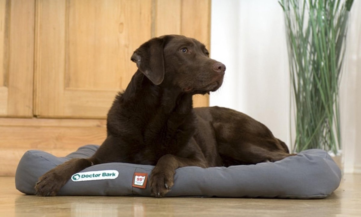 Doctor Bark Dog Cushion - M - Grijs