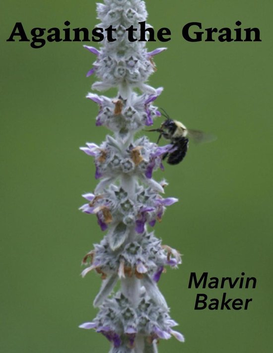 Against the Grain - cover