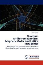 Quantum Antiferromagnetism