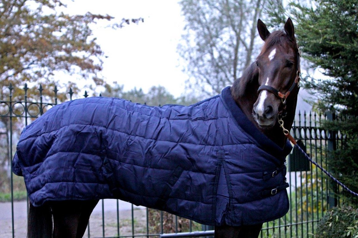Streng vriendschap klep SB Exclusive luxe paarden winterdeken, 500 gram, 1200D (maat 205) | bol.com