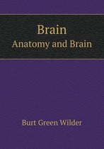 Brain Anatomy and Brain
