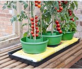 Garland Plant- en gietpot groen - set van 3 stuks - Plant Halos: Een alles-in-één oplossing voor bewatering en gewasondersteuning